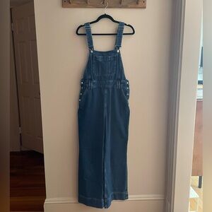& Other Stories Fitted Indigo Denim Overalls
